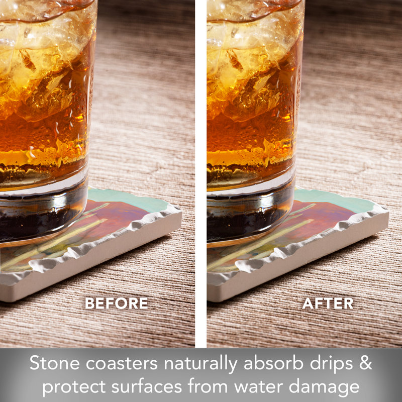 High Desert 4-Pack Tumbled Tile Stone Coasters