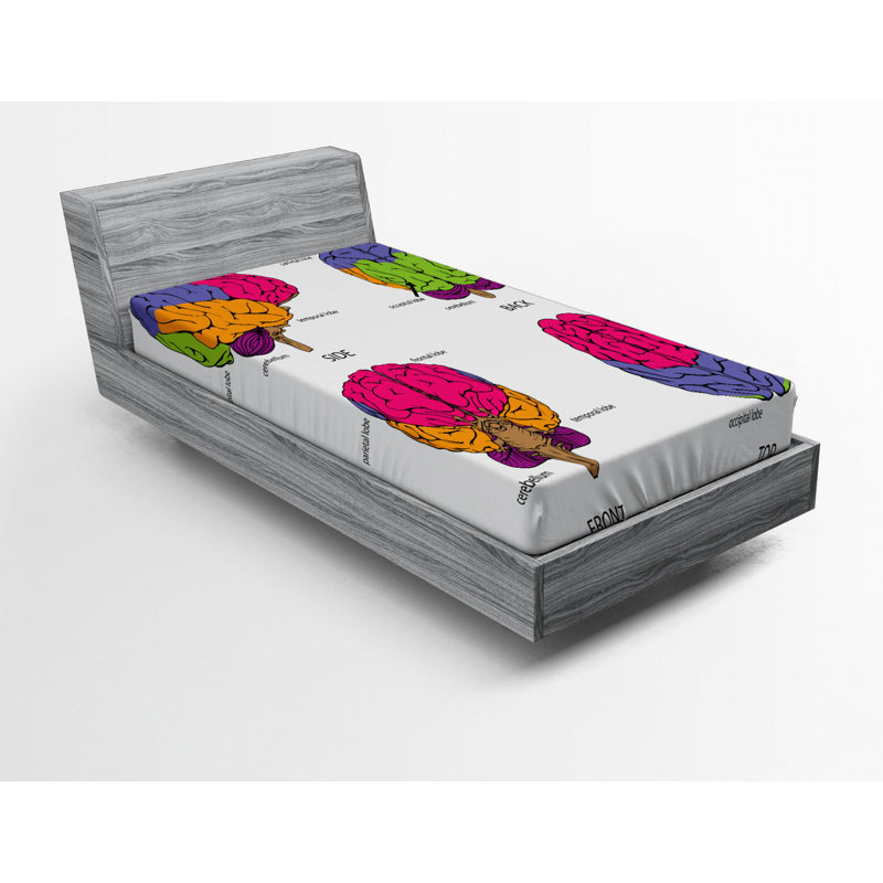 Microfiber Fitted Sheet, Twin Fitted Sheet
