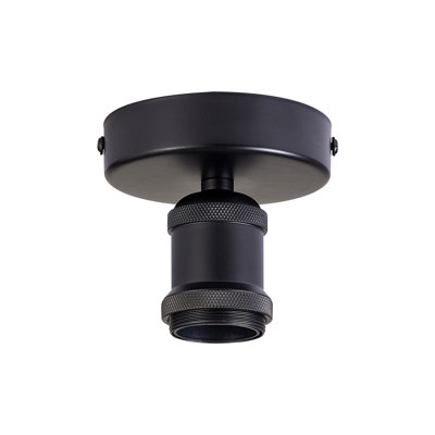 Canella Spotlight