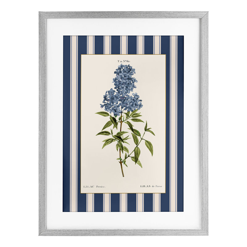 «Lilac Study Over Stripes», reproduction encadrée sous verre, conception de Corinne Haig, H 20 po x l 14 po