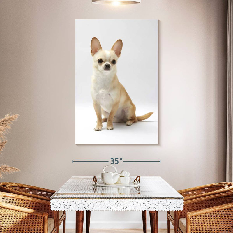 Brampt Seated Chihuahua, 51" H x 34" W