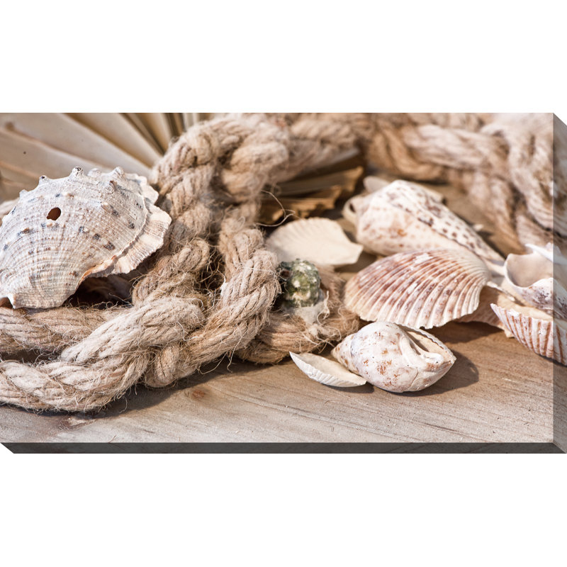 « shells », reproduction de photo sur toile tendue, H 36 po x l 60 po x P 1,5 po