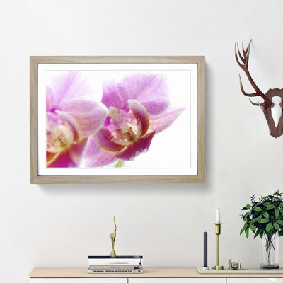 A Pink Orchid Flower - Framed Print