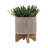 Includes plant rack flower pots