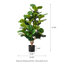 Figuier figuier en pot 41,25 po Amee