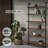 Gunas 6 Piece Pine Floating Shelf-1641100703