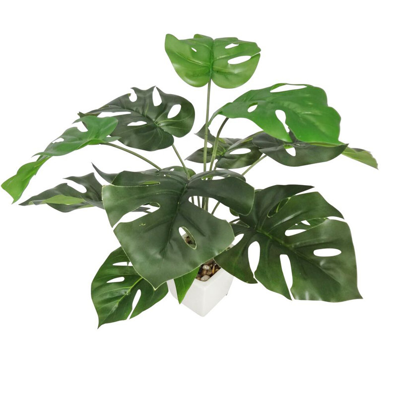 Plantes 19 po avec pot blanc Monstera