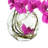 Whisman Orchid Arrangement in Round Glass Vase with Vines-94078647