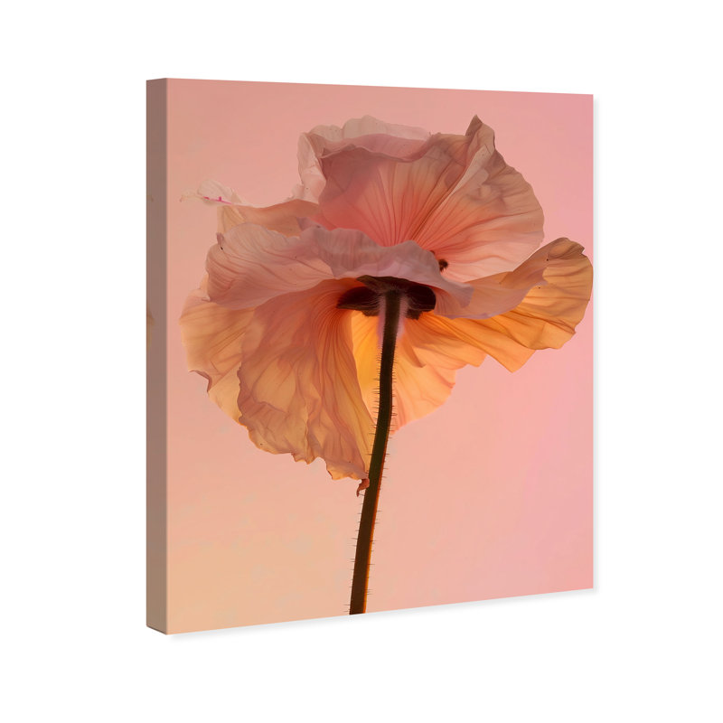 Amber Radiance IV Print by Oliver Gal, 16"H x 20"W, Gallery Wrapped