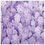Cactus mauve à motif de cactus-124827018