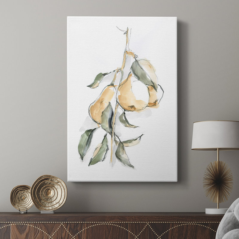 Aquarelle fruit Contour I - galerie Cavas sur mesure, H 27 po x l 18 po