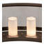 24 - Light Chandelier