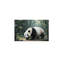 No Frame Print on Canvas