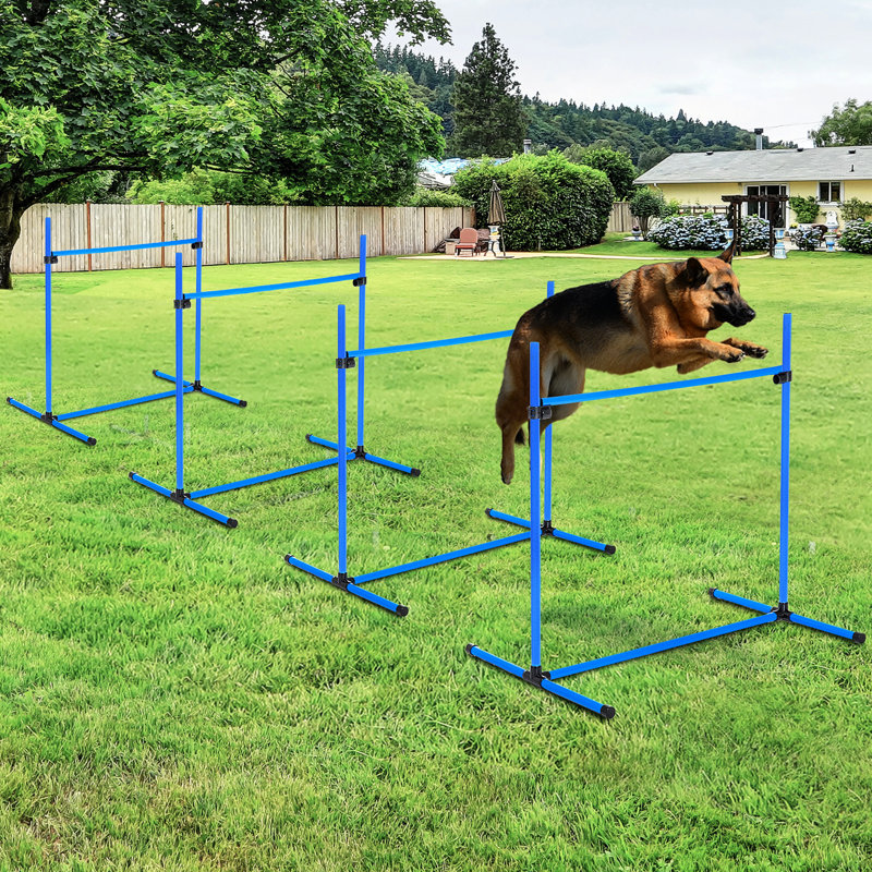 Dog Agility Course Equipment Gathering : 4 Jump With Adjustable Heights, Included Carrying Bag, And Work On Any Flat Area, Blue, 39" L Bars Carry Surface,