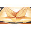 Tapis Rugs.com Pioneer-2002690342