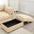 Beige is out of stock selected