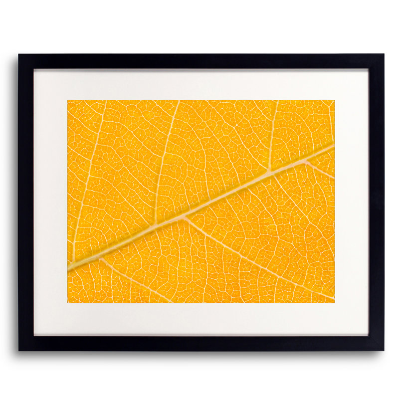 Autumn Leaf Print by Philippe Monthoux, 16" H x 20" W, Black Framed Paper