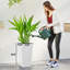 Ensemble de jardinières modernes peu encombrantes, polypropylène blanc durable pour l'extérieur