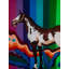 Cheval majestueux | Acrylique sur toile | Par Debrata Basu