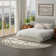 Oriental Indoor Rug