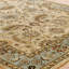Wool Oriental Area Rug in Beige-1487226686