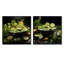 «Citrus Soup Symphony Greens», 2 pièces-1190417987-1190417996