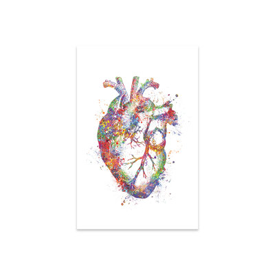 " Heart Anatomy Fig "