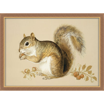 Martha Stewart Bedford, art mural en papier, écureuil, 23,75 po x 31,75 po, décor de salon et de chambre à coucher, encadré