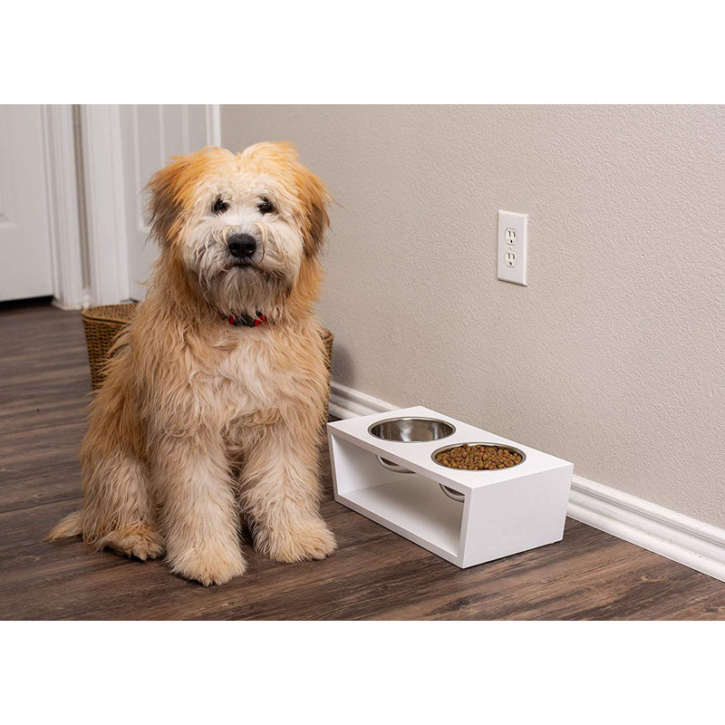 BirdRock Home Elevated Pet Feeder w/ Stainless Steel Bowls - Suitable for Medium Breeds (White)