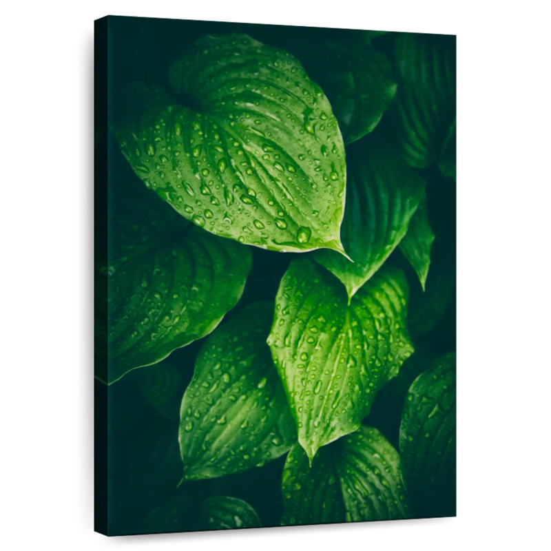Feuilles vertes trempées Harnek, H 24 po x l 16 po