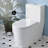 Liberte One-Piece Elongated Toilet Dual-Flush 1.1/1.6 gpf