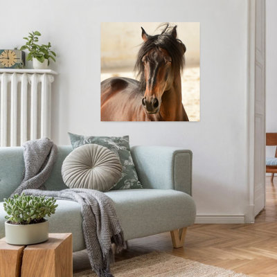 Casanova, cheval contemporain, art animalier