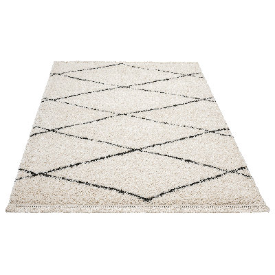 Andice Shaggy Rug in Black/White