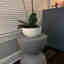 Photos des clients 1 de 1