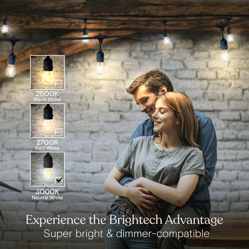 Ambience Pro 48 ft. Outdoor Plug-In LED String Lights with 15 Hanging S14 Bulbs, Weatherproof, Black Cord Commercial-Grade
