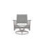 Wexler Outdoor Swivel Lounge Chair-1102391101-1099678799