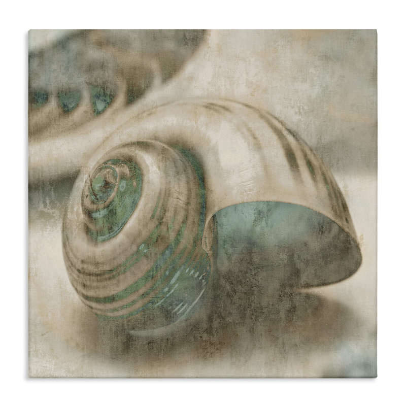 «Centered Sharkeye Seashell Texture patiné bleu clair» par Ziwei Li - impression d'art graphique, H 36 po x l 36 po