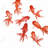 fishes - 32"x32" art on canvas