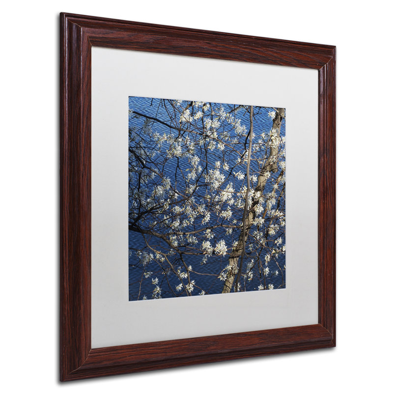 «Springtime at the Lake», reproduction de photo encadrée, H 16 po x l 16 po x P 0,5 po