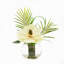 Tropical Magnolia with Palm Leaves