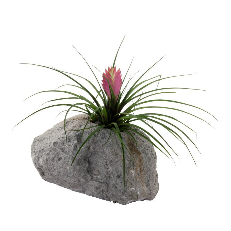 Pot à fleurs Ovalle Pumice