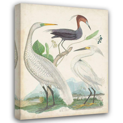 "August Grove®", galerie d'art sur toile inconnue, héron antique et oiseaux d'eau III