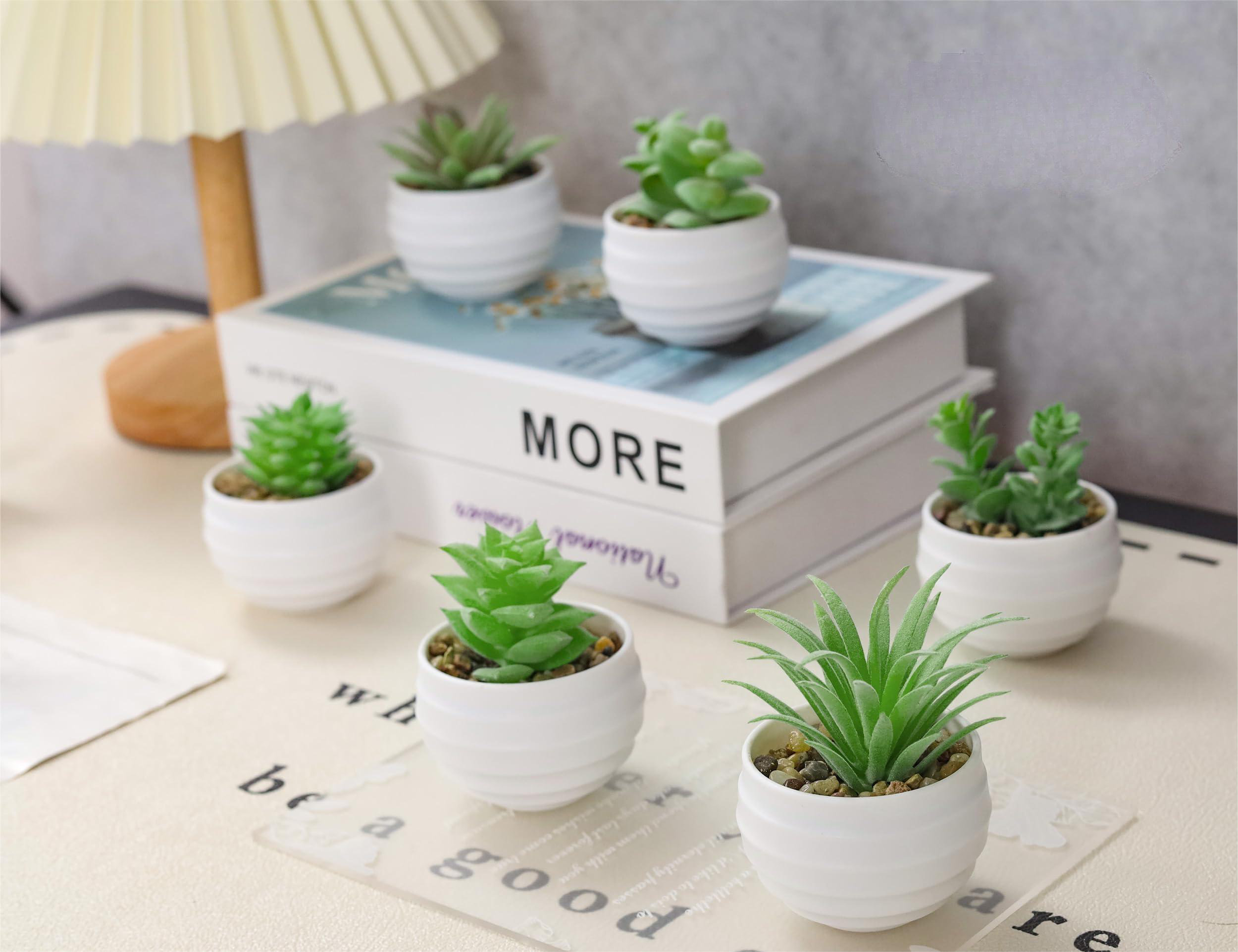 Primrue Set Of 6 Succulents Plants Artificial In Pots Small Fake Plants ...