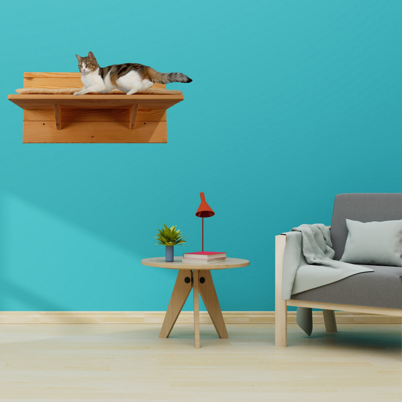 Perchoir pour chat 24 po Evans