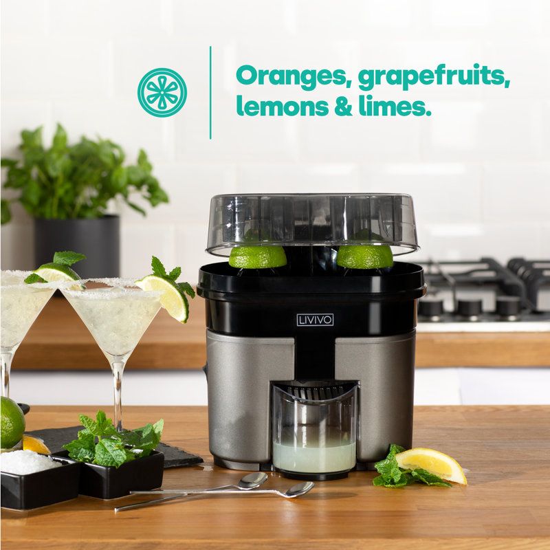 LIVIVO Electric Citrus Juicer