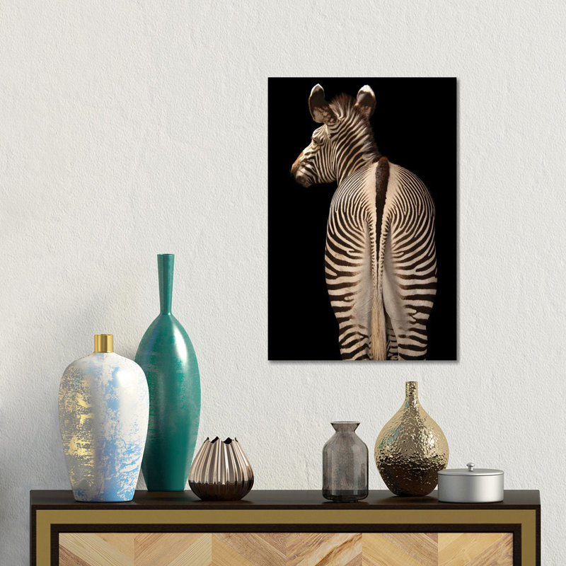 Grevy's Zebra At The Lee G Simmons Conservation Park And Wildlife Safari Near Ashland, Nebraska by Joel Sartore - Gallery-Wrapped Canvas Giclée on Canvas
