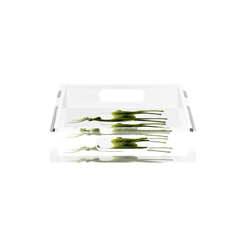 Acrylic Decorative Tray