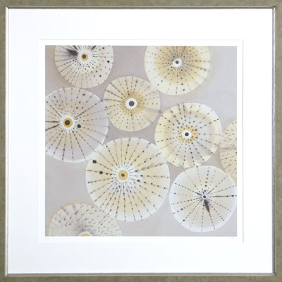 Sea Urchins 2 Print by Heaton