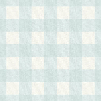 Washed Gingham