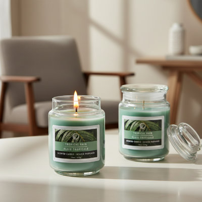 Pot parfumé avec couvercle en verre 18 oz Haight - Ensemble de 2